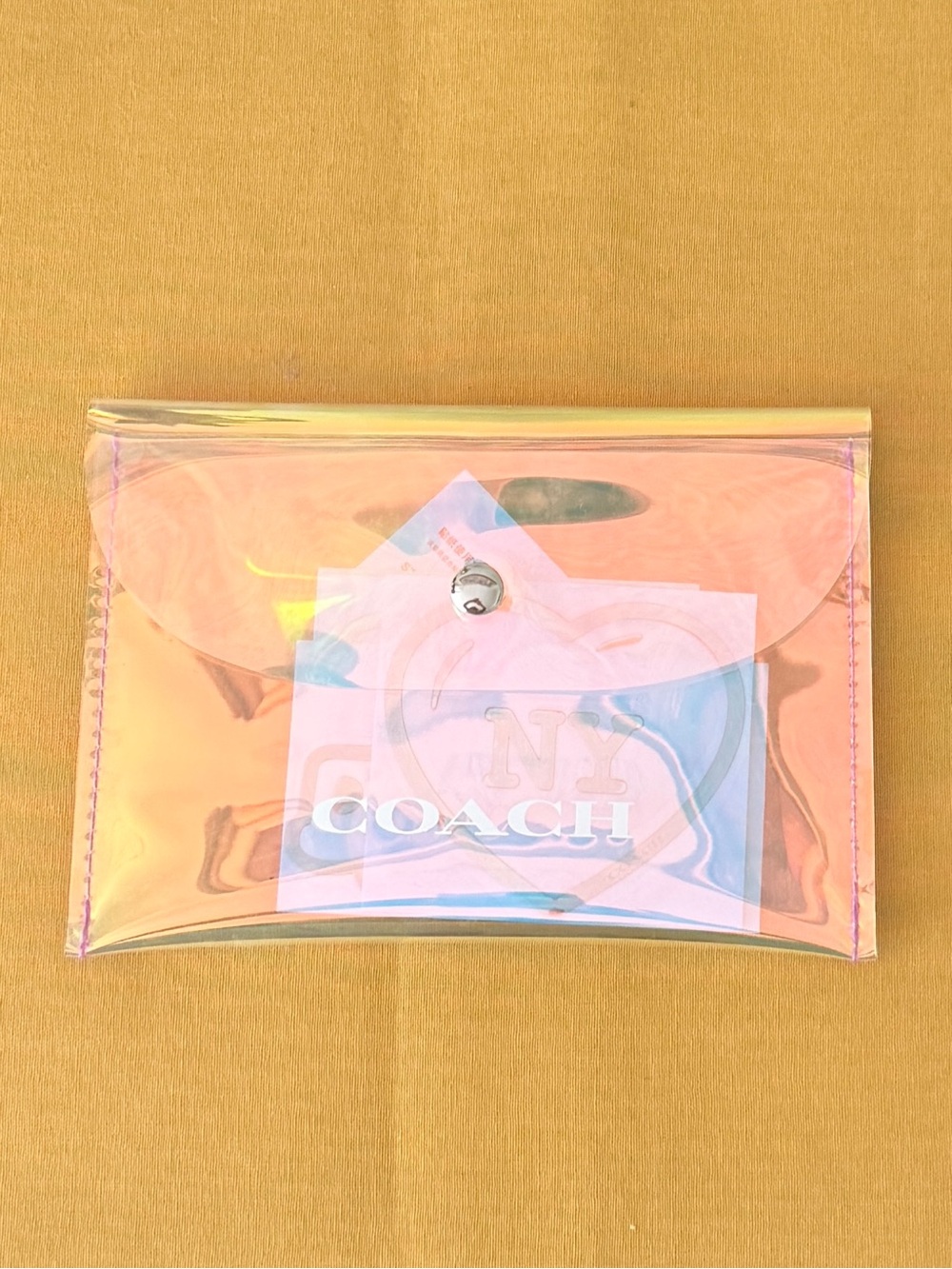 Iridescent Coach Envelope Pouch